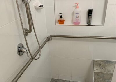 Hand Held Shower and Grab Rails